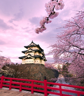 Hirosaki Castle Japan - Obrázkek zdarma pro Nokia C1-02