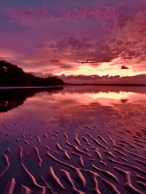 Fondo de pantalla Red Sunset and Lake Surface 480x640