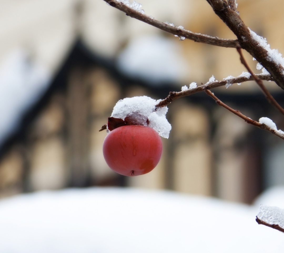 Fondo de pantalla Apple And First Snow 1080x960