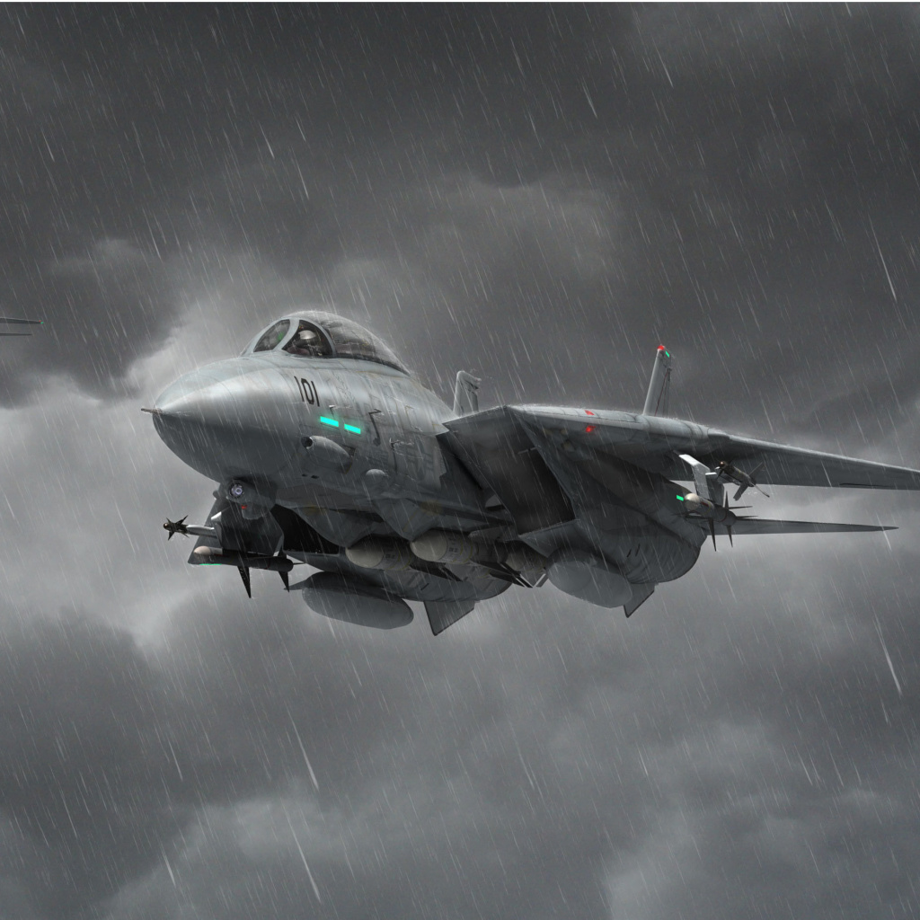 Grumman F 14 Tomcat Interceptor wallpaper 1024x1024
