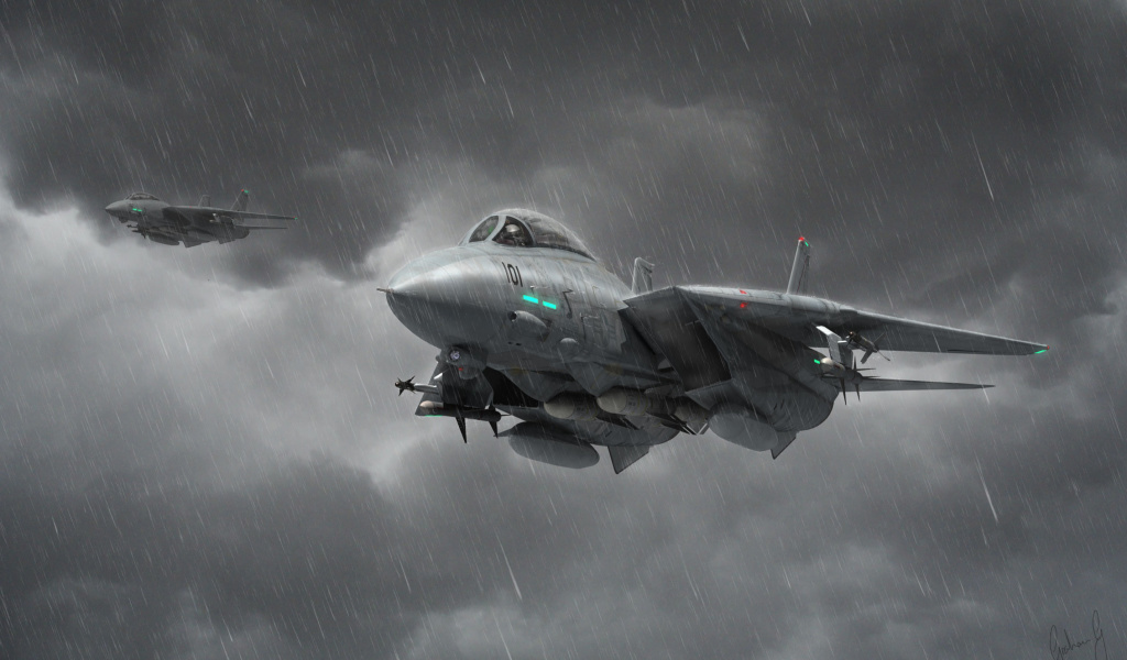 Grumman F 14 Tomcat Interceptor screenshot #1 1024x600