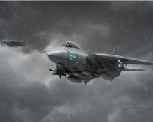 Das Grumman F 14 Tomcat Interceptor Wallpaper 220x176