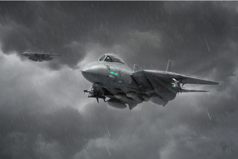 Fondo de pantalla Grumman F 14 Tomcat Interceptor 480x320