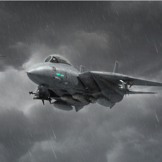 Grumman F 14 Tomcat Interceptor sfondi gratuiti per iPad mini