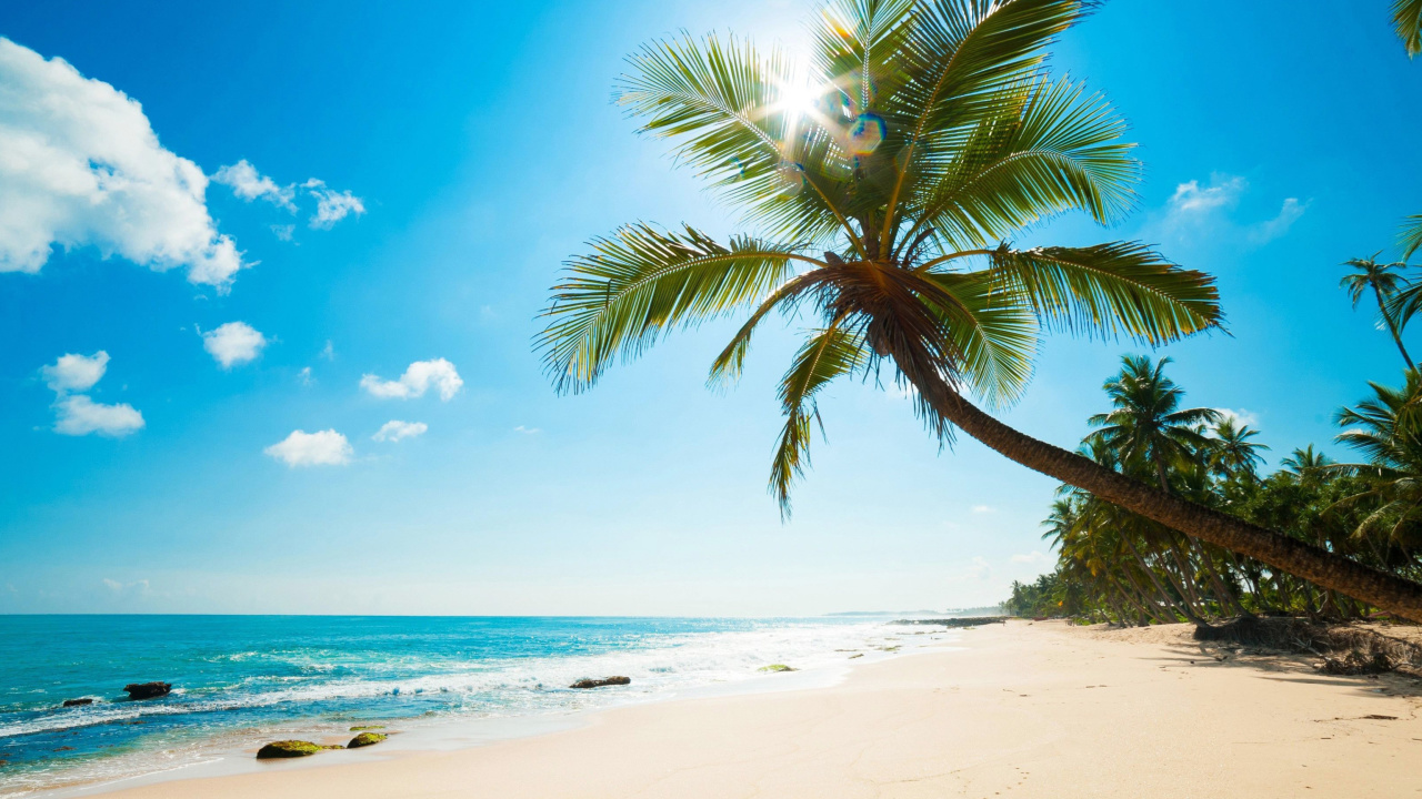 Обои Best Caribbean Crane Beach, Barbados 1280x720