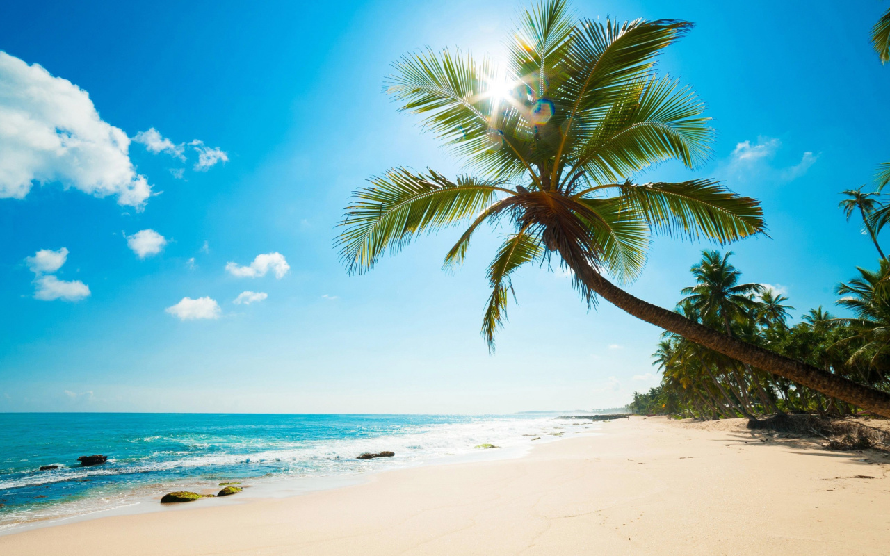 Fondo de pantalla Best Caribbean Crane Beach, Barbados 1280x800