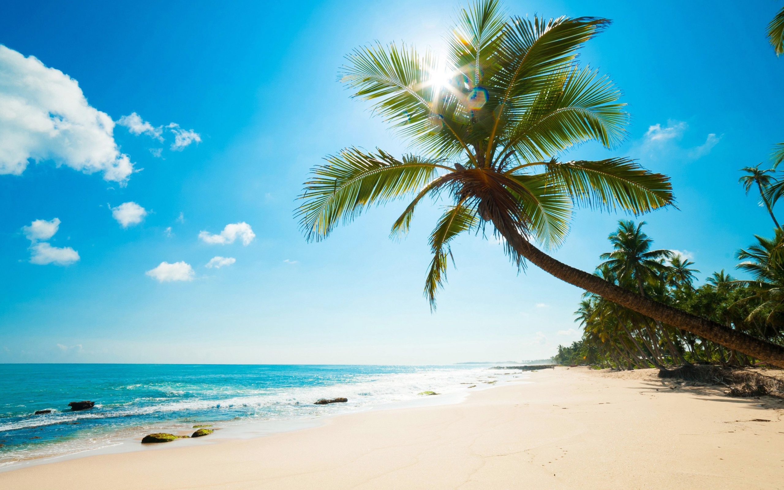 Best Caribbean Crane Beach, Barbados wallpaper 2560x1600