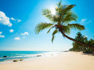 Fondo de pantalla Best Caribbean Crane Beach, Barbados 320x240