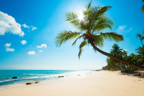 Обои Best Caribbean Crane Beach, Barbados 480x320