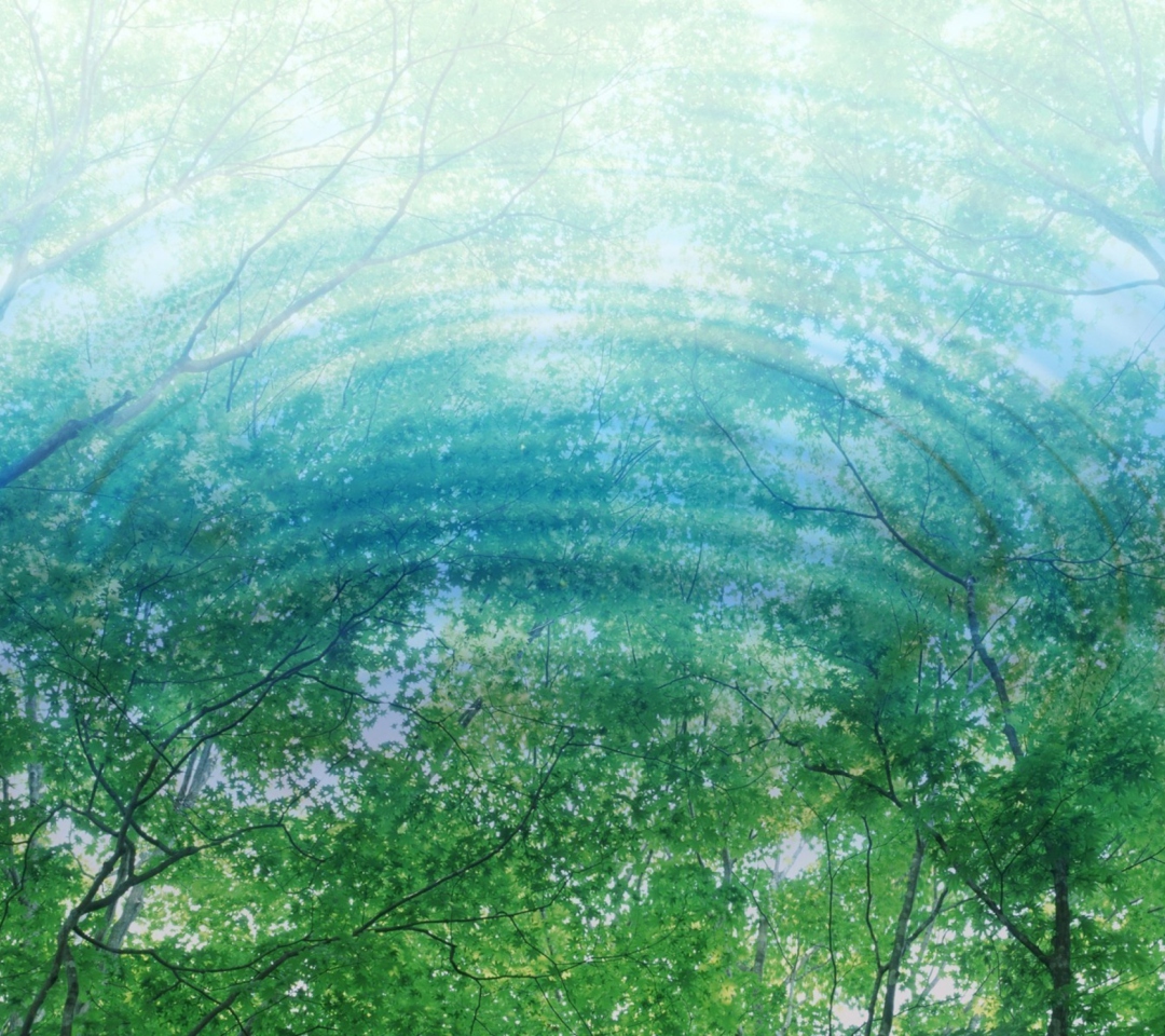 Обои Tree Reflections In Water 1080x960