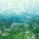 Fondo de pantalla Tree Reflections In Water 128x128