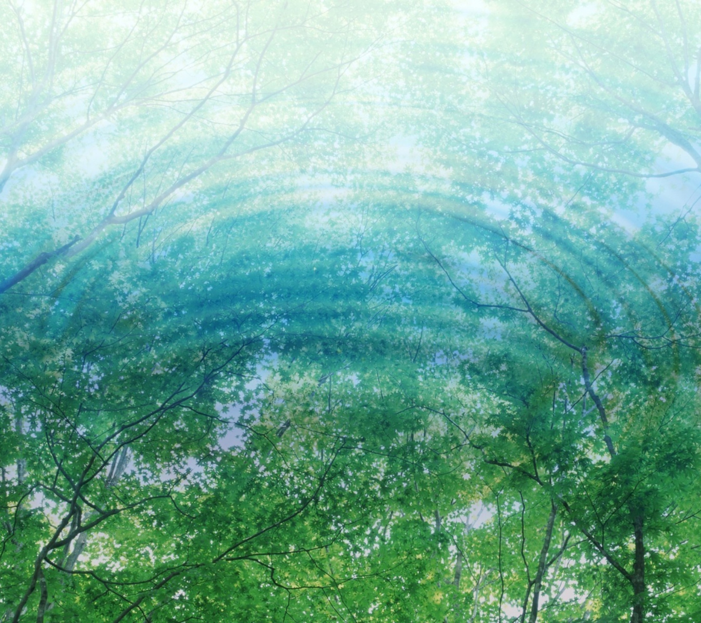Fondo de pantalla Tree Reflections In Water 1440x1280