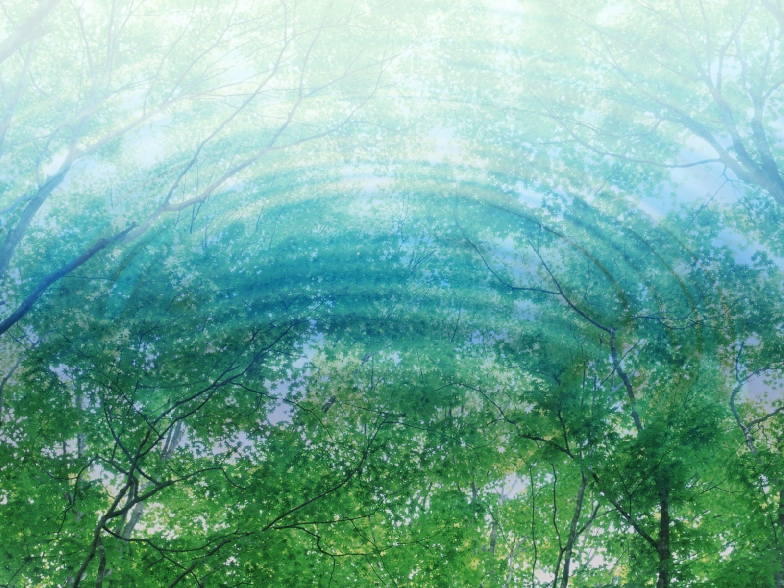 Fondo de pantalla Tree Reflections In Water 1600x1200