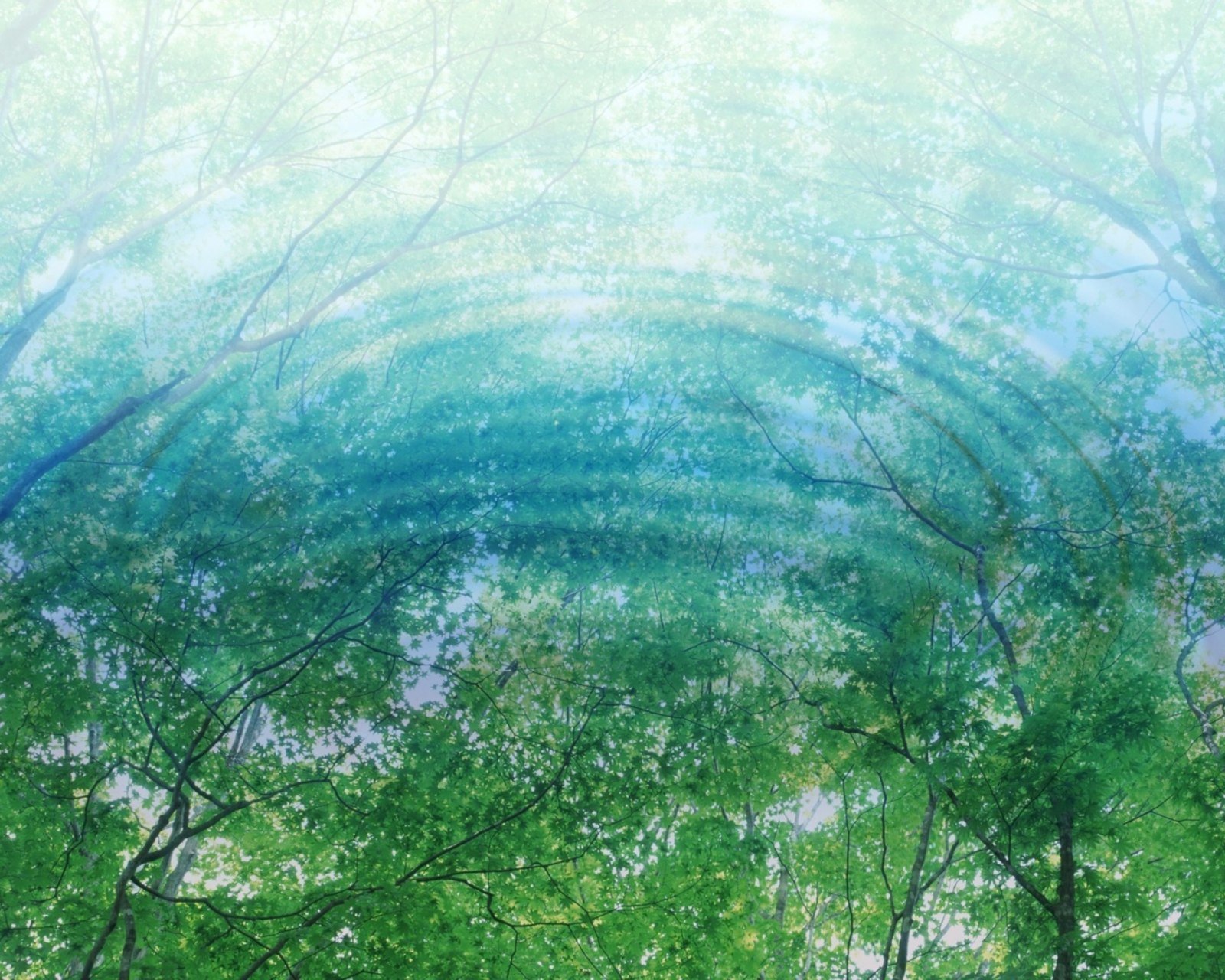 Обои Tree Reflections In Water 1600x1280