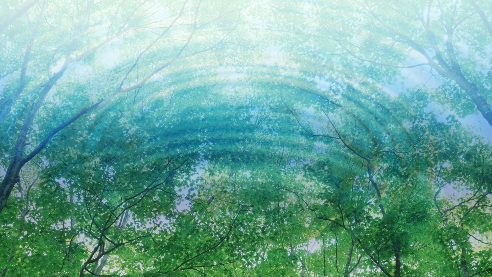 Fondo de pantalla Tree Reflections In Water 1600x900