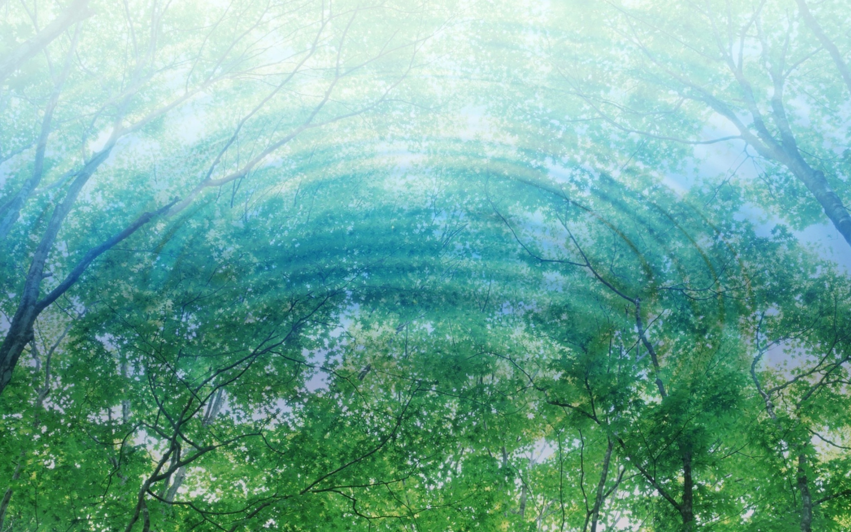 Fondo de pantalla Tree Reflections In Water 1680x1050