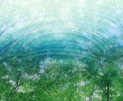 Обои Tree Reflections In Water 176x144