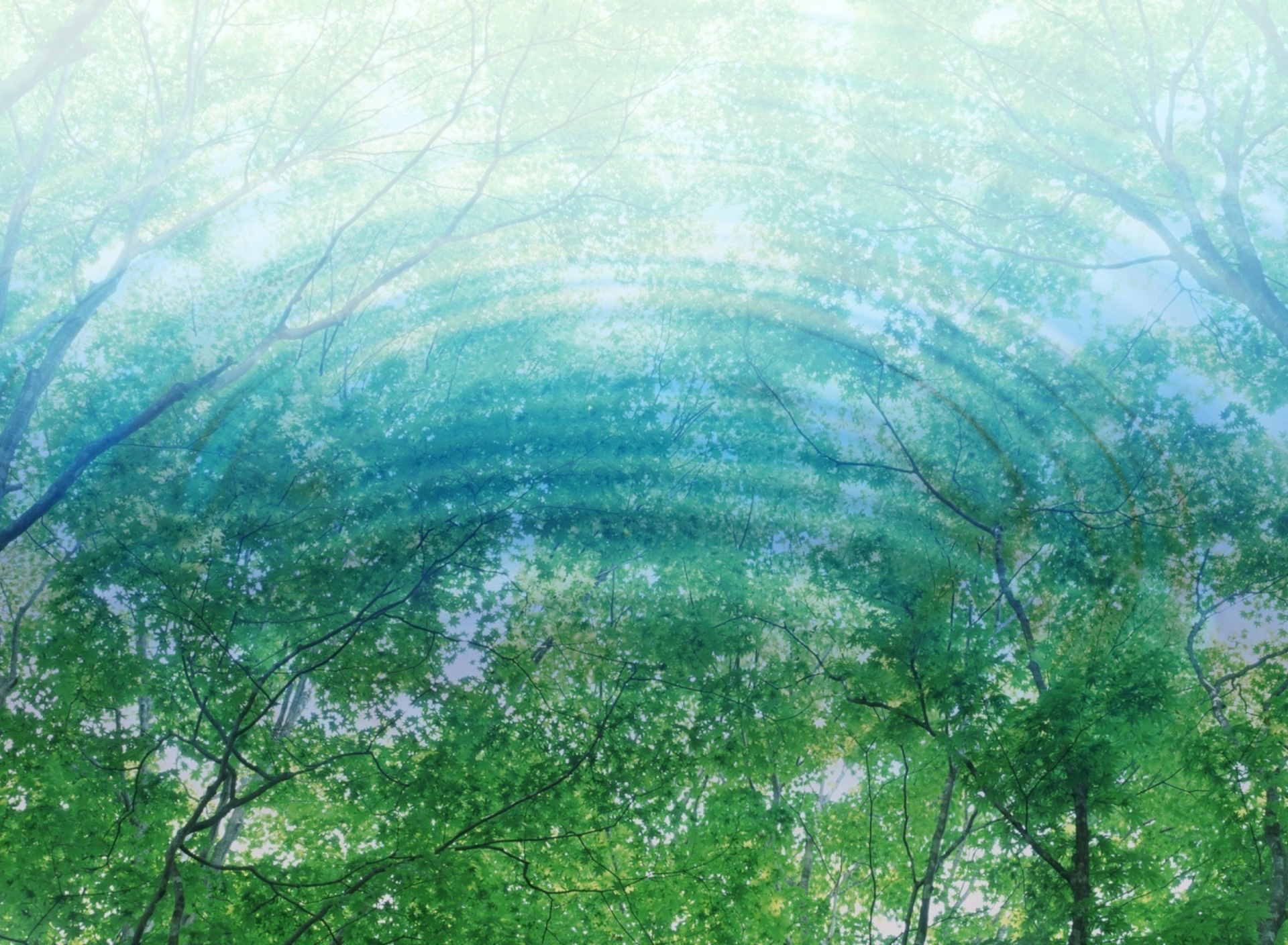 Tree Reflections In Water screenshot #1 1920x1408