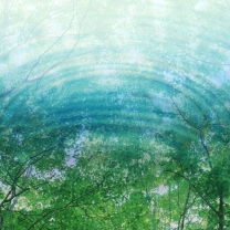Das Tree Reflections In Water Wallpaper 208x208