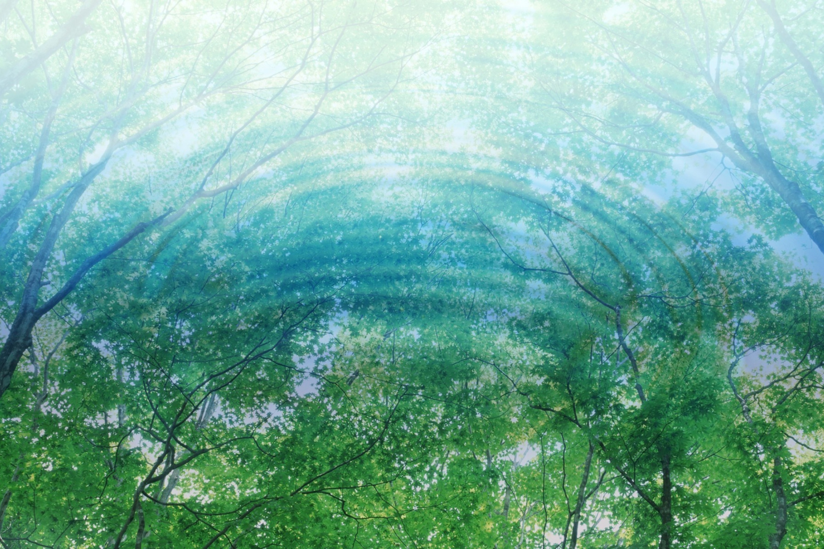 Fondo de pantalla Tree Reflections In Water 2880x1920