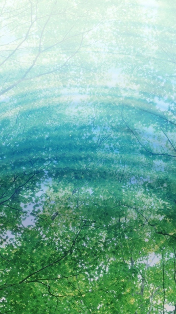 Das Tree Reflections In Water Wallpaper 360x640