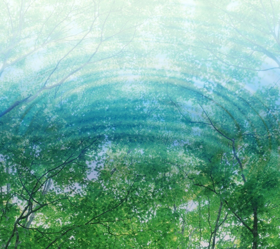 Sfondi Tree Reflections In Water 960x854
