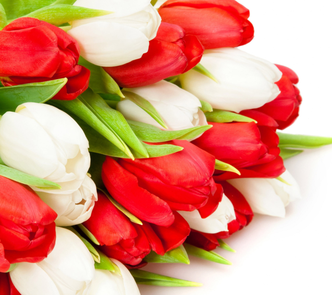 Обои Red And White Tulips 1080x960