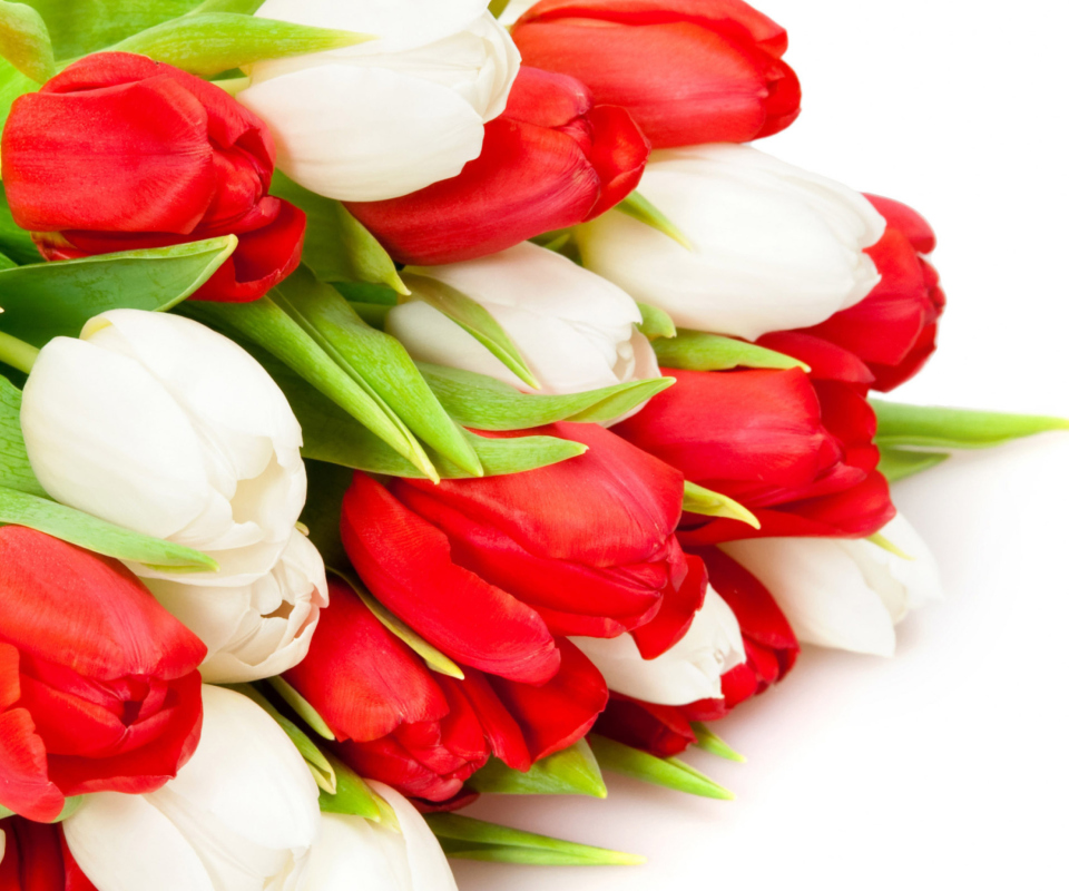 Обои Red And White Tulips 960x800