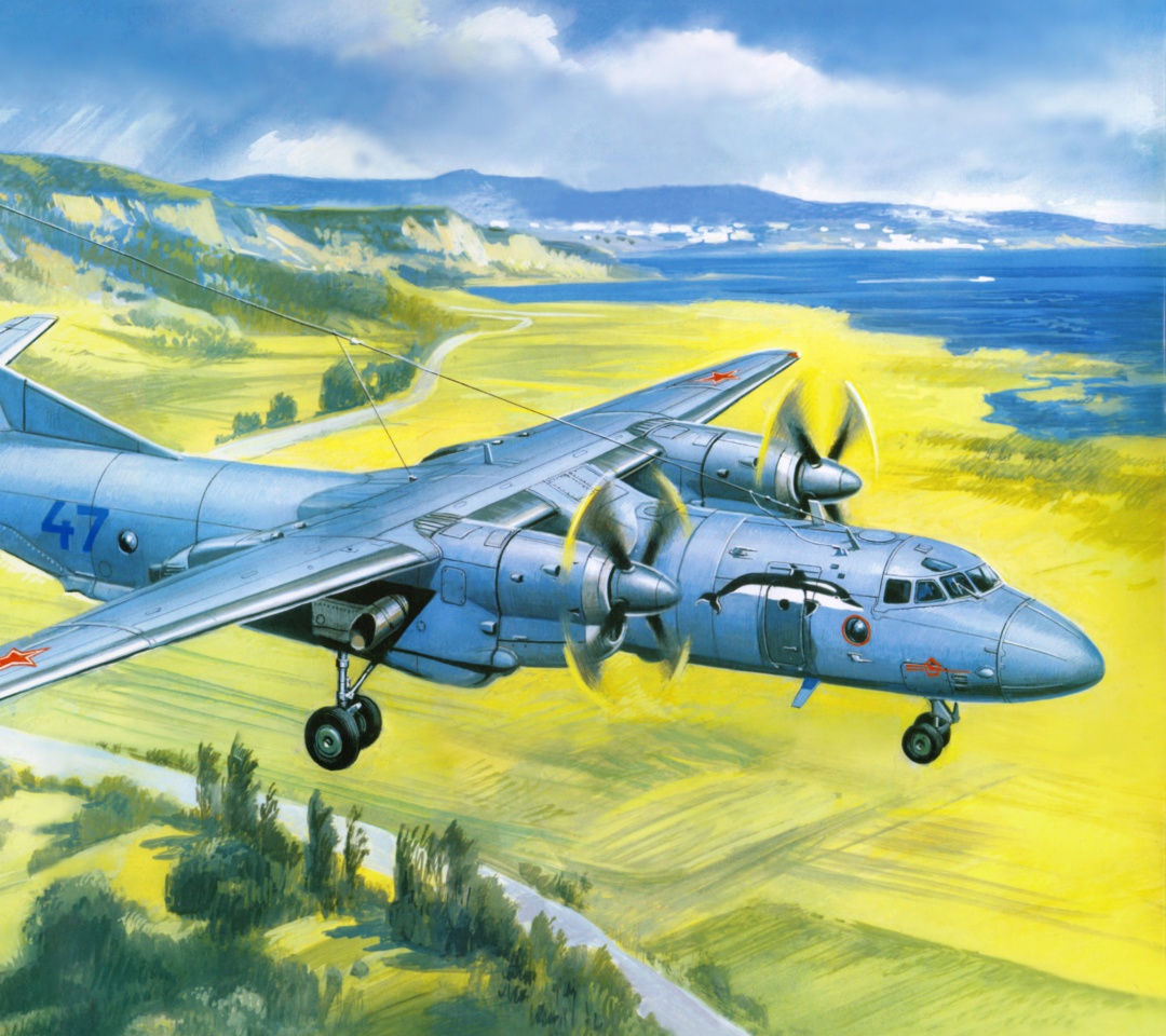 Das Antonov An 24 Airplane Wallpaper 1080x960