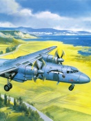 Das Antonov An 24 Airplane Wallpaper 132x176