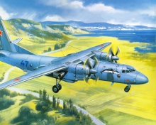 Das Antonov An 24 Airplane Wallpaper 220x176