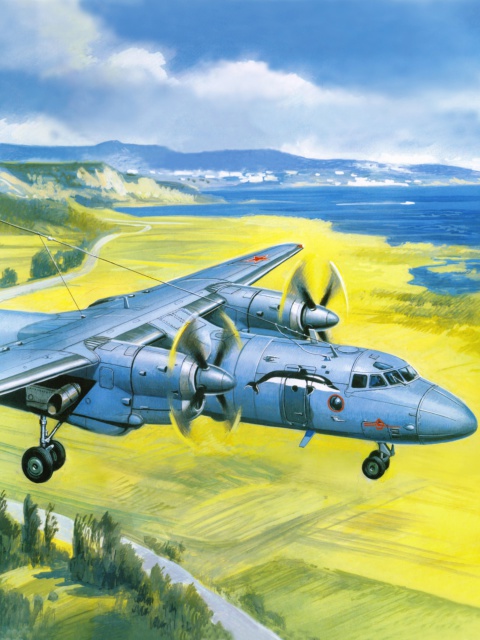 Antonov An 24 Airplane wallpaper 480x640