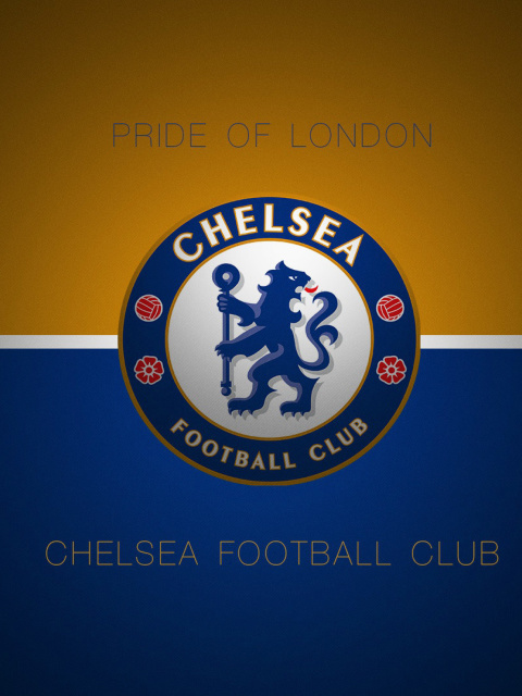Chelsea Football Logo wallpaper 480x640