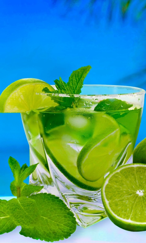 Mojito on Beach wallpaper 480x800