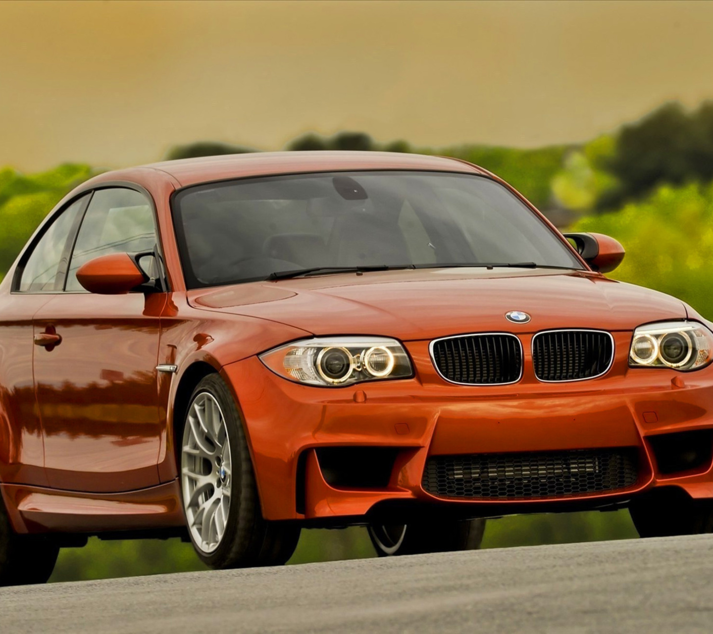 Fondo de pantalla BMW 118i Coupe 1440x1280