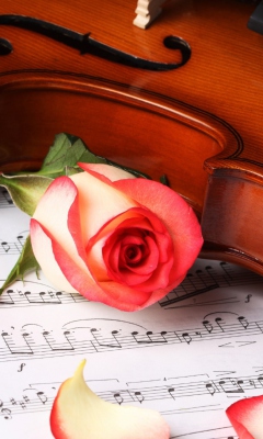 Classical Music wallpaper 240x400