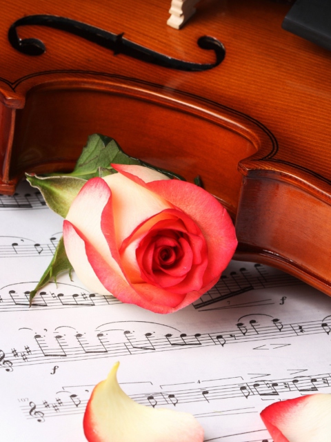 Das Classical Music Wallpaper 480x640