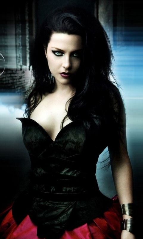 Screenshot №1 pro téma Evanescence 480x800