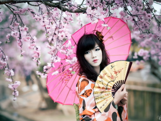 Japanese Girl Under Sakura Tree wallpaper 320x240