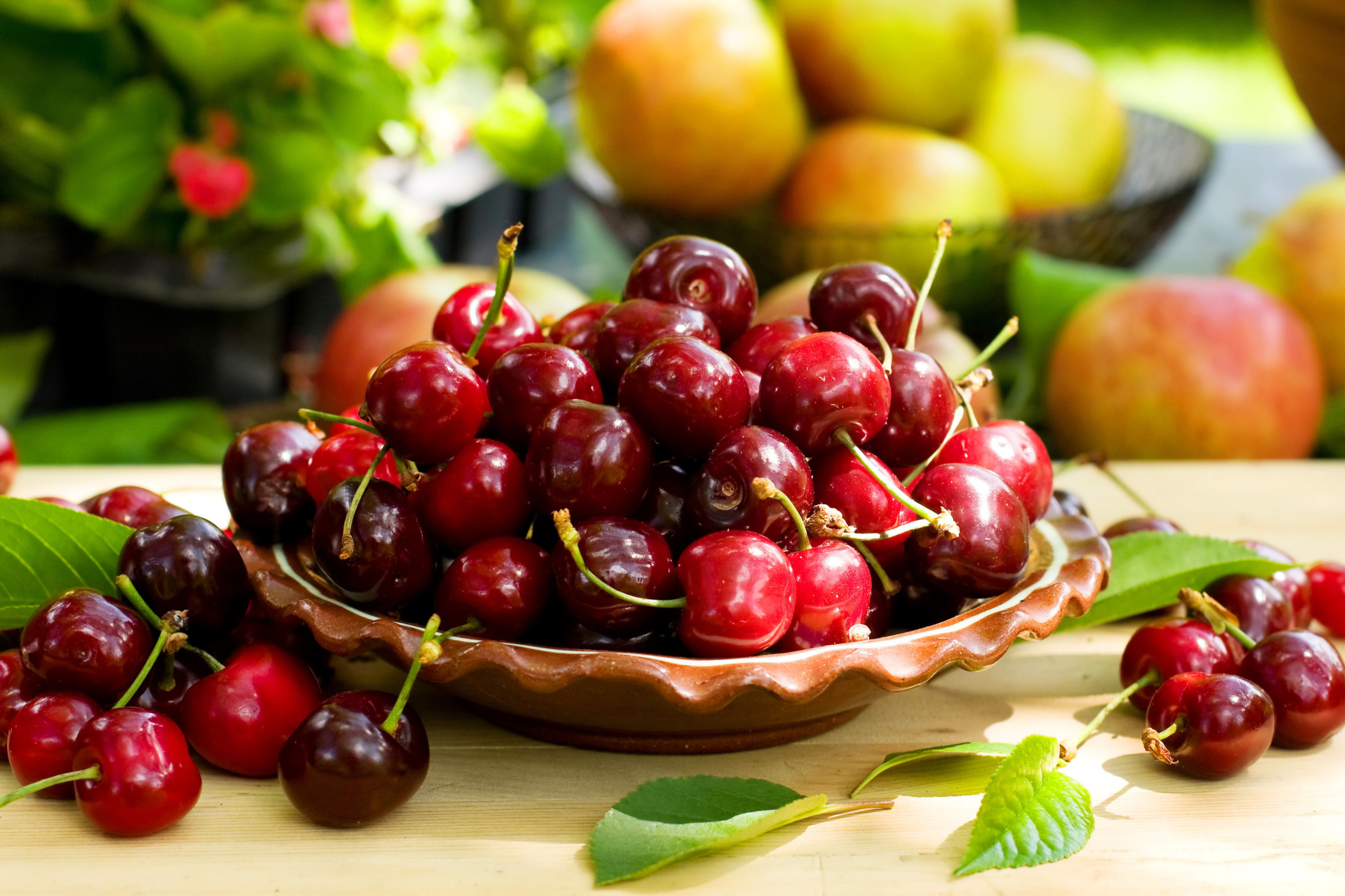 Обои Wild Cherry 2880x1920