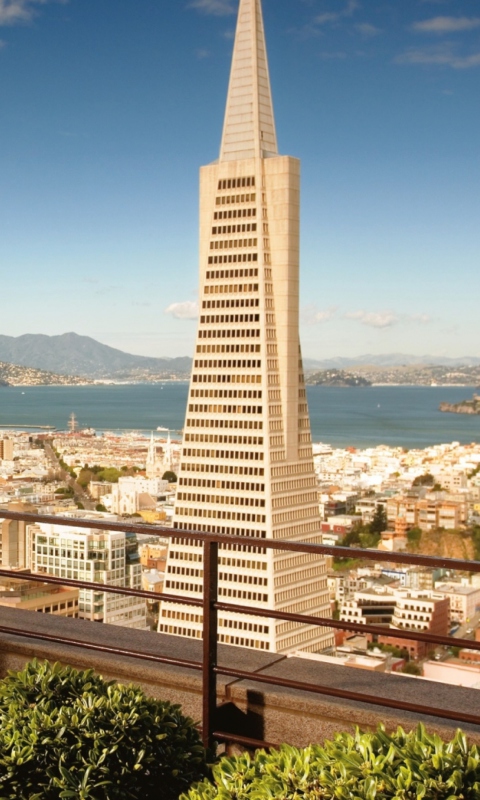 Das San Francisco City View Wallpaper 480x800