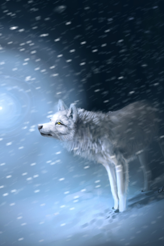 Wolf And Winter Painting wallpaper 640x960