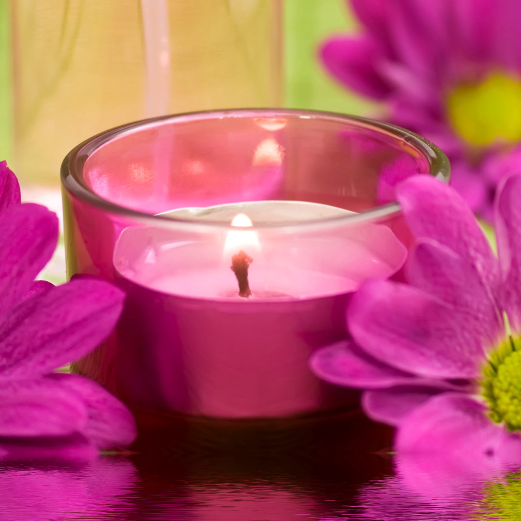 Fondo de pantalla Violet Candle and Flowers 1024x1024