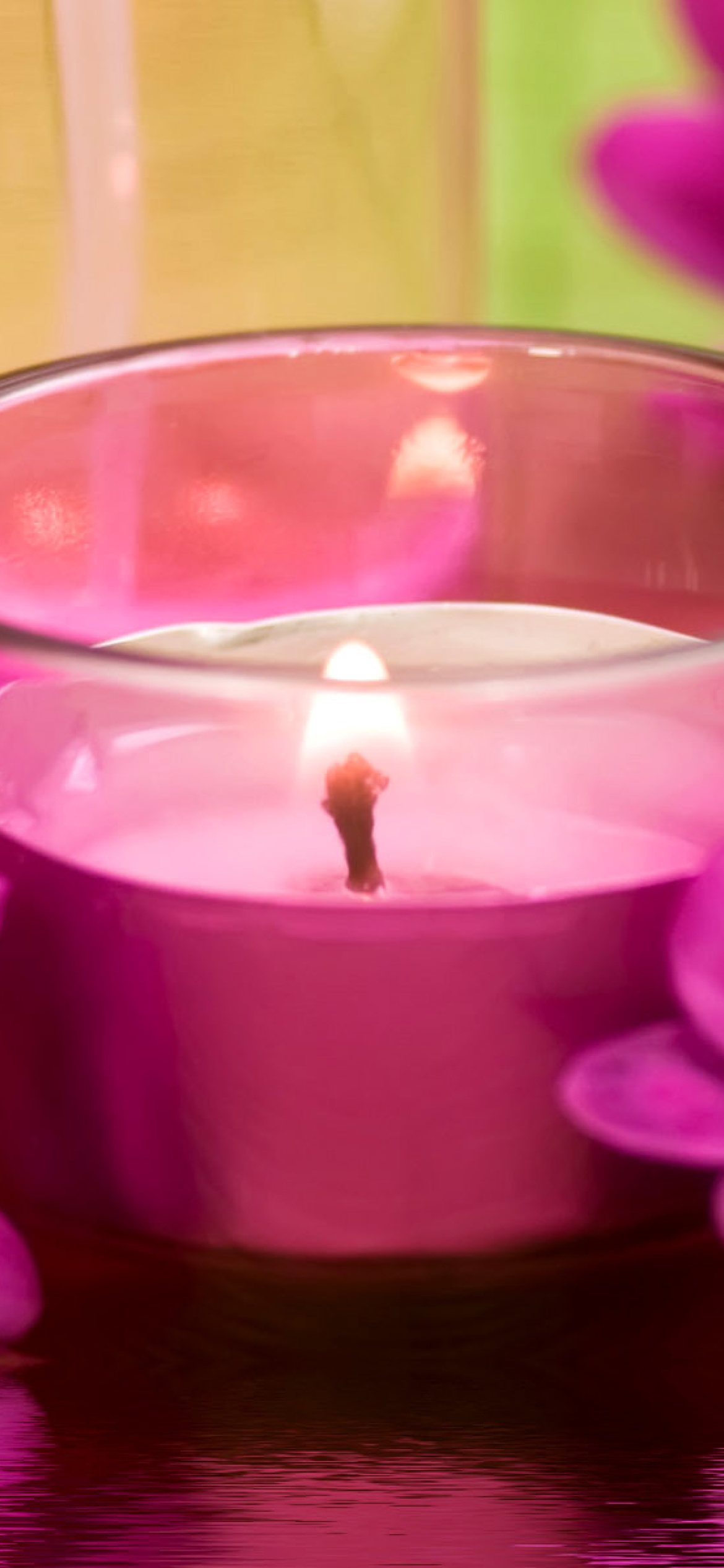 Fondo de pantalla Violet Candle and Flowers 1170x2532