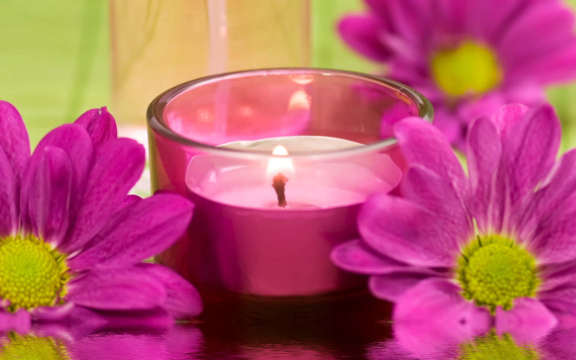 Violet Candle and Flowers wallpaper 1920x1200