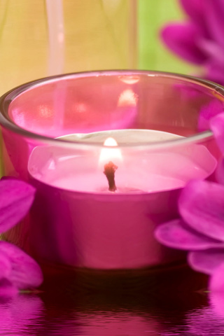 Violet Candle and Flowers wallpaper 320x480