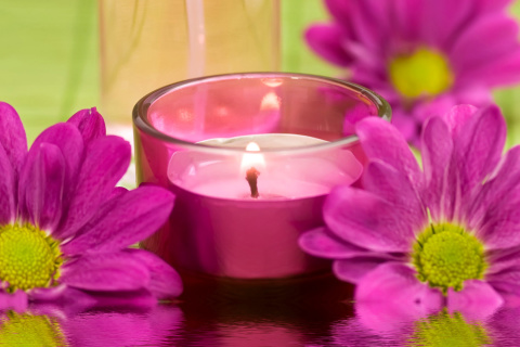 Fondo de pantalla Violet Candle and Flowers 480x320