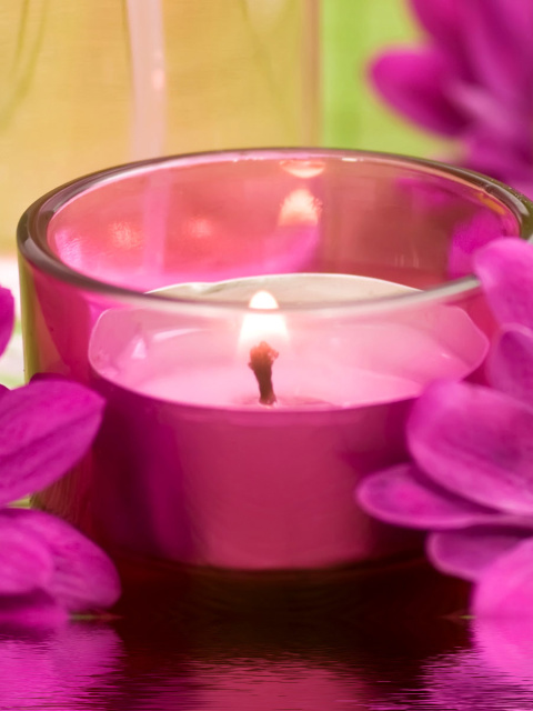 Das Violet Candle and Flowers Wallpaper 480x640
