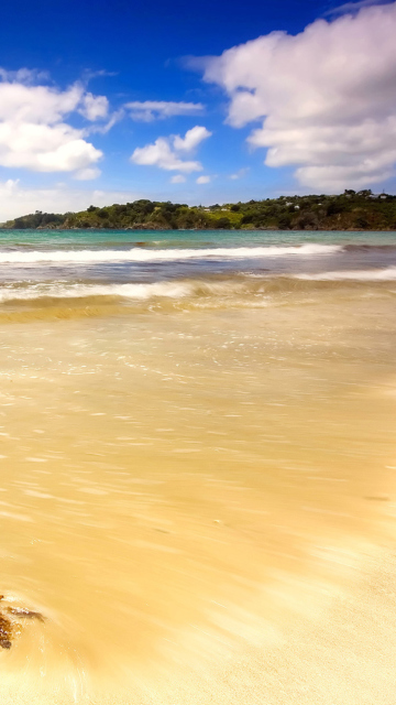 Mauritius Beach wallpaper 360x640