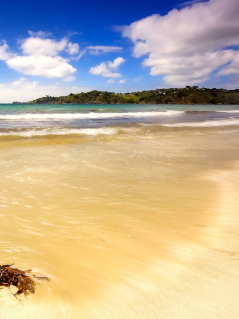 Mauritius Beach wallpaper 480x640